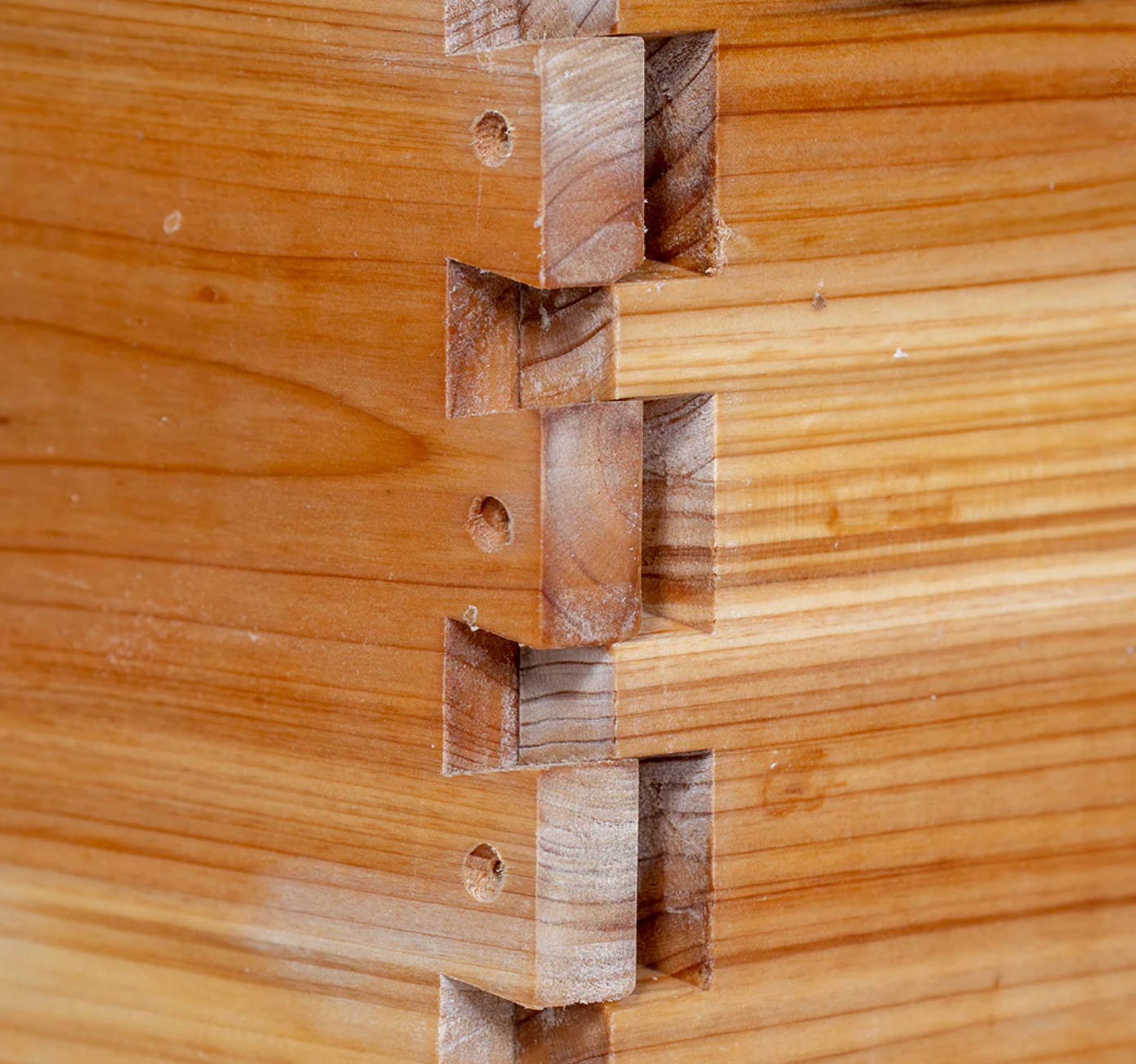 Medium 10-Frame Super with Frames - Wooden Beehive Box