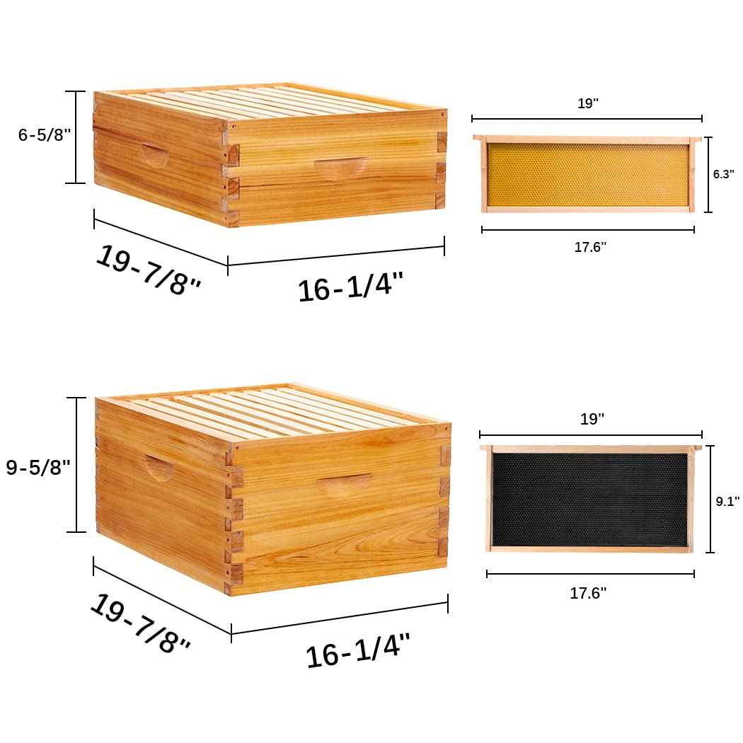 2-Box WAXED Fir Wood Beehive Kit — 1 Deep + 1 Medium, 20 Frames Included