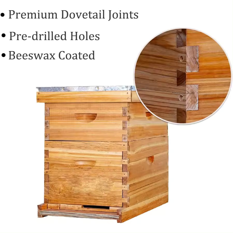 2-Box WAXED Fir Wood Beehive Kit — 1 Deep + 1 Medium, 20 Frames Included