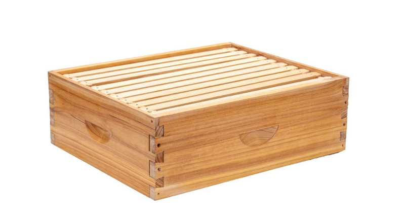 Medium 10-Frame Super with Frames - Wooden Beehive Box