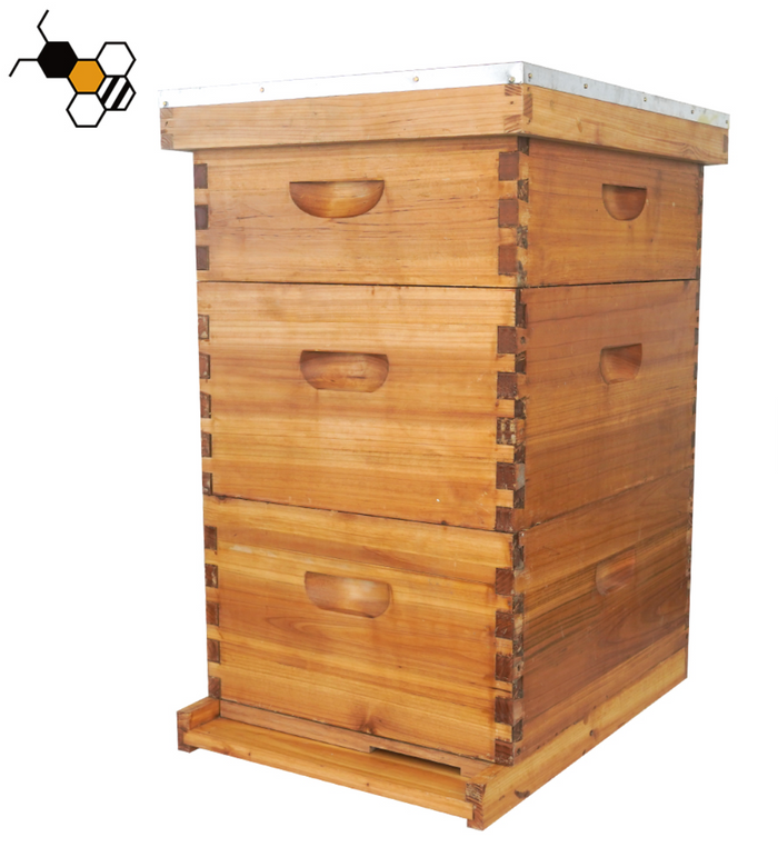 3-Box WAXED Fir Wood Beehive Kit — 2 Deep + 1 Medium, 30 Frames Included