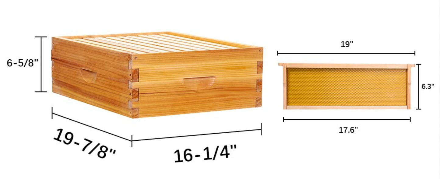 Medium 10-Frame Super with Frames - Wooden Beehive Box