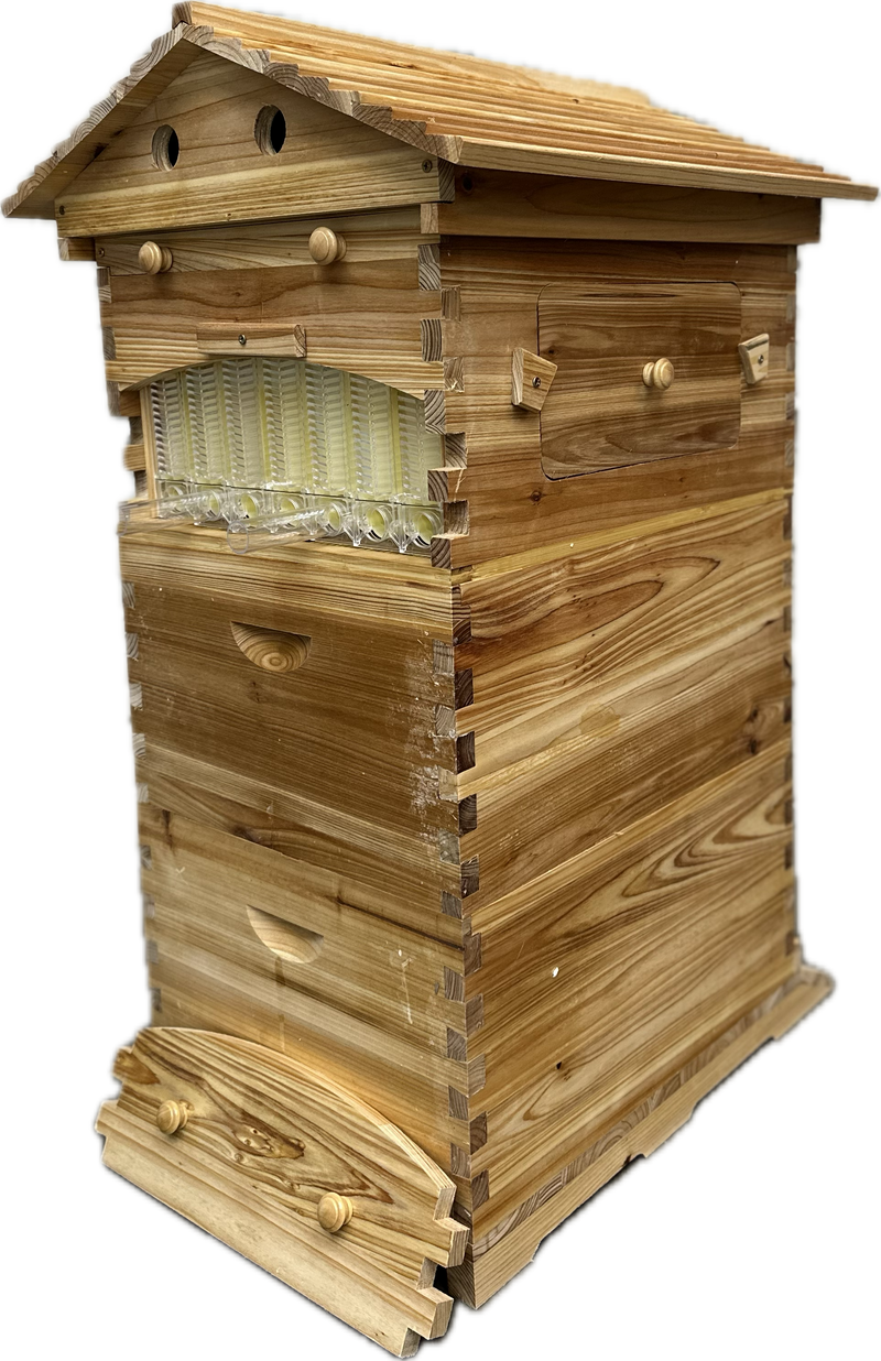 3-Box Beehive Full Kit - Auto-Flow Honey Super + 2 Brood Boxes (Waxed)